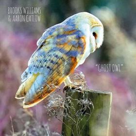 (2021) Brooks Williams & Aaron Catlow - Ghost Owl [FLAC]