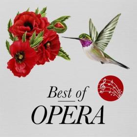 Various Artists - Best of Opera (2021) Mp3 320kbps [PMEDIA] ⭐️