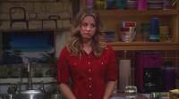 The Big Bang Theory S05E19 480p HDTV x264-ChameE