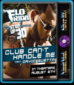 Flo Rida - Club Can't Handle Me ft  David Guetta HD 720P NimitMak SilverRG