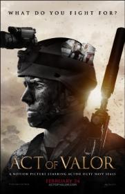 Act of Valor 2012 HDRip2DVD DD 5.1 NL Subs