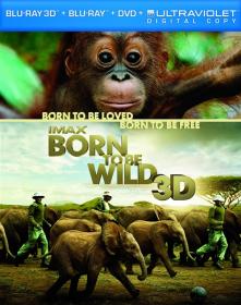 IMAX Born to Be Wild 2011 BluRay 1080p DTS x264-CHD [PublicHD ORG]