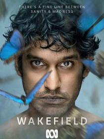 Wakefield 2021 S01E01 FRENCH HDTV x264-Scaph