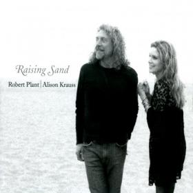 Robert Plant, Alison Krauss - Raising Sand (2021) Mp3 320kbps [PMEDIA] ⭐️