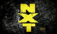 WWE NXT 2012-04-04 HDTV XviD-vasylius
