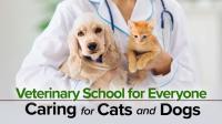 Veterinary School for Everyone Caring for Cats and Dogs