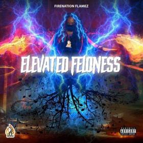 Fire Nation Flamez - Elevated Feloness (2021) Mp3 320kbps [PMEDIA] ⭐️