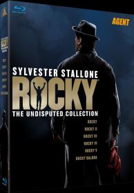 Rocky-The Complete Saga[2007]DvDrip-aXXo