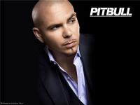 Pitbull - Discography