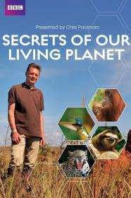 Secrets of Our Living Planet 2012 720p 10bit WEBRip x265-budgetbits