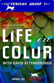 Life in Colour with David Attenborough Season One YG