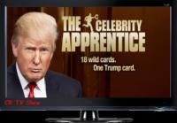 The Apprentice (USA) Sn12 Ep11 HD-TV - Jingle All the Way Home - Cool Release