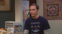 The Big Bang Theory S05E23 480p HDTV x264-ChameE