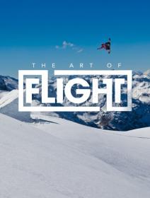 The Art of Flight 2011 VO HDRip