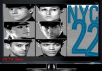 NYC 22 Sn1 Ep4 HD-TV - Lost and Found - Cool Release