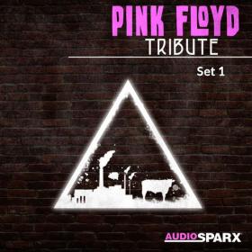 VA - Pink Floyd Tribute, Set 1 (2021)