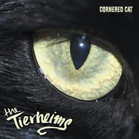 The Tierheims - 2021 - Cornered Cat