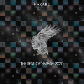 VA - The Best of Harabe 2020 (2021)