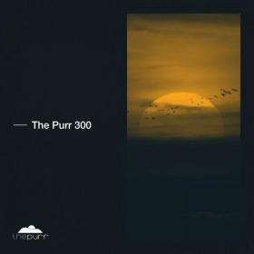 VA - The Purr 300 (2021)