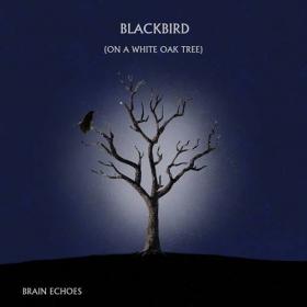 Brain Echoes - Blackbird (On A White Oak Tree) 2021 [24 bit 44 1 kHz]