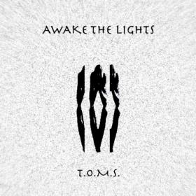 Awake the Lights - The One Man Standing (2021)