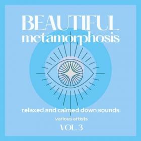 VA - Beautiful Metamorphosis [Relaxed and Calmed Down Sounds] Vol  3 (2021) MP3