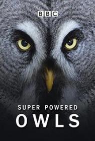 The Natural World  Super Powered Owls (2015) HDTVRip-AVC