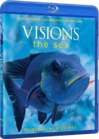 Visions Of The Sea 2009 720p BluRay x264-DOCUMENT [PublicHD]