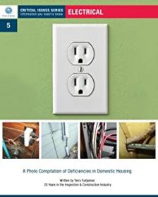 Electrical (Critical Issues Series) by Terry Fulljames