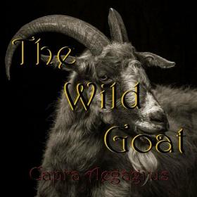 The Wild Goat - Carpra Aegagrus (2022)