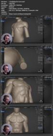 [ CourseHulu.com ] Skillshare - Blender - Sculpt a male torso for beginners