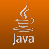 Java SE Runtime Environment 8.0.3110.11