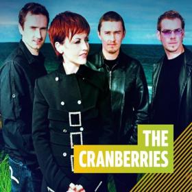 The Cranberries - Discography [FLAC] [PMEDIA] ⭐️