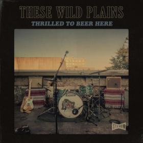 These Wild Plains - Thrilled To Beer Here (2022) [24Bit-44.1kHz] FLAC [PMEDIA] ⭐️