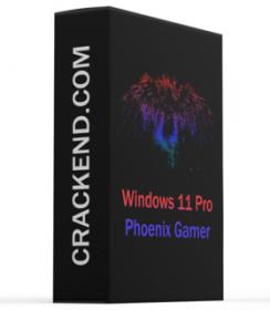 Windows 11 Pro Phoenix Lite Build 22000.434 x64 Pre-Activated