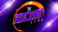 WWE 205 Live 2022-01-28 720p Lo WEB h264-HEEL