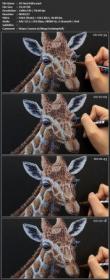 [ CourseWikia.com ] Acrylic Marker Giraffe Drawing - How to draw an animal with Paint Pens