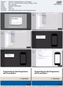 Linkedin - Programming for Non-Programmers - iOS 15 and Swift 5