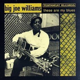 Big Joe Williams These Are My Blues (blues)(mp3@320)[rogercc][h33t]