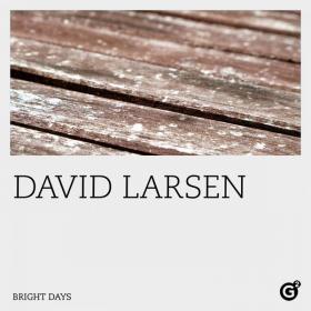 David Larsen - Bright Days (2022) [24Bit-96kHz] FLAC [PMEDIA] ⭐️