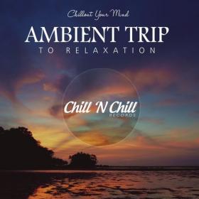 VA - Ambient Trip to Relaxation  Chillout Your Mind (2021) MP3