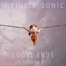 Infinite Sonic - 2022 - Loose Ends - Volume I