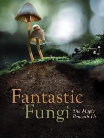 Fantastic Fungi 2019 DVO HDRip