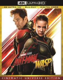 Ant-Man and Wasp (2018) 2160p H265 10 bit ita eng AC-3 5 1 sub ita eng Licdom