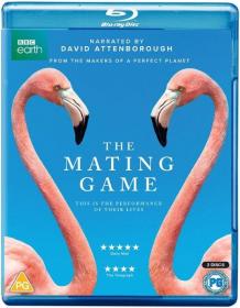 The Mating Game 4of5 Freshwater Timing is Everything 1440p Bluray x265 AAC