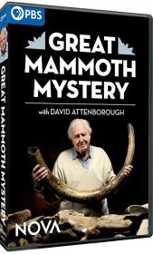 Nova Series 49 Part 3 Great Mammoth Mystery 1080p HDTV x264 AAC