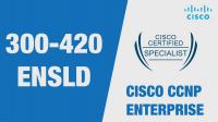 [FreeCoursesOnline.Me] CBT Nuggets - Cisco CCNP Enterprise ENSLD [300-420]