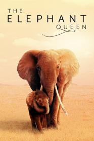 The Elephant Queen  4K, HDR10  By Wild_Cat