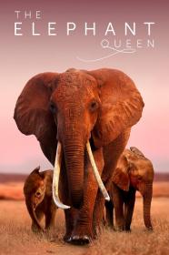 The Elephant Queen  4K, Dolby Vision  By Wild_Cat