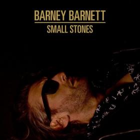 Barney Barnett - Small Stones (2022) Mp3 320kbps [PMEDIA] ⭐️